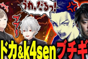 【にじさんじ】ボドカ「お前らはほんまに人生舐めてるな！痛い目見るぞ！」 葛葉「人生終わってるもんなボドカは」