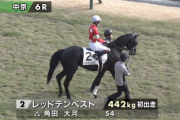 ●怪物レッドテンペスト　本馬場入場