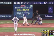 カット打法←これチームで極めれば優勝待ったなしちゃうか？？？