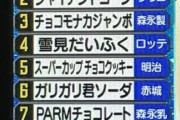 チョコモナカジャンボ「アイス総選挙3位です」←分かる ジャイアントコーン「2位です」←まぁ…分かる
