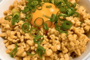 【SKE48】仲村和泉が作った「そぼろ丼」が上手！！！