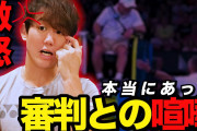 【悲報】Twitter民「何でテニス選手ってラケットぶっ壊すの？」→「これで精神整えるんだよなーｗ」「やってないやつにはわからないかｗ」