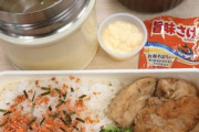 ワイの手作り弁当まずそうで草（※画像あり）