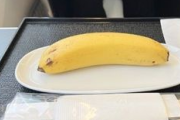 【画像】ビジネスクラス乗客「自分ヴィーガンです」JAL「ほい、んじゃバナナ１本で」