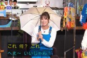 【日向坂46】すげえ... 佐々木久美、マスクから日傘を作成！【リメイクHEROES】