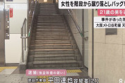 女性(71)を駅の階段から蹴り落とし大怪我をさせバッグを奪った、関西人(21)逮捕。 |  初犯で出頭なので執行猶予ですね、利口だなぁ