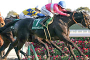 【京都金杯】８歳馬サクラトゥジュール接戦制す！キング騎手JRA重賞3勝目