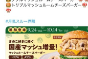 【悲報】川名凜「あらゆるチェーン店の月見バーガーを食べ比べた結果、月見をやってないフレッシュネスのキノコバーガーが1番美味い」