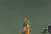 【質問】『ゼルダの伝説 ブレスオブザワイルド』のダメなところを敢えて挙げるならどこ？