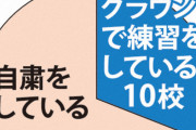 高校野球センバツ32校の今　グラウンドに球音なく　練習手探り　進路に不安も