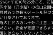 佐賀県で70メートルの熊が出没ｗｗｗ