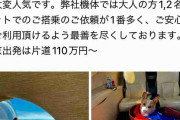 ペット問題に航空運送会社「多くの問い合わせ頂きます」SNSでプライベートジェット紹介し大反響　費用は
