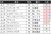 【競馬】ブエナビスタの18が東京開幕週デビューを検討している件