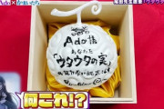 【朗報】Adoちゃん、尾田栄一郎さんから直筆悪魔の実を貰うｗｗｗｗ