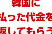 米国「韓国に払った代金を返してもらう」「清算しよう」　　完全に終わったな…