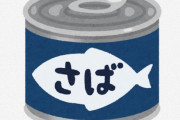 毎日サバ缶とキャベツのざく切りを炒めただけのやつ食べまくった結果ｗｗｗｗｗｗｗｗｗｗｗ