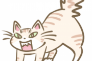 【画像】『激おこ』しちゃった猫がヤバすぎるｗこんなのアニメでしか見たことない…
