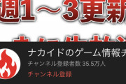 炎上系ゲーム批評YouTuberナカイド←コイツことお前らはどう思ってんの？