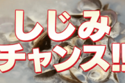 女騎士「くっ…何を飲ませた！」オーク「しじみ習慣！！！」