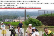 【悲報】参政党員、特定外来種のジャンボタニシを使った無農薬米栽培を始めてしまう