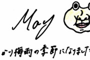 土生瑞穂のグリカが話題！櫻坂46 2021年5月のグリーティングカード＆チェキ公開