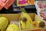 台湾産パイナップル、日本各地に続々入荷ｗｗｗｗｗｗｗｗｗｗｗｗｗｗｗｗｗｗｗｗｗｗｗｗｗ