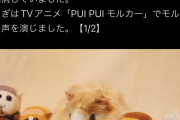 【訃報】大人気アニメ「PUIPUIモルカー」の声優さん、亡くなる