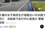 【画像】女子高生が水路に落ち死亡