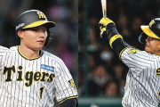 森下翔太(3年目).275 23HR 89打点　佐藤輝明(3年目).263 24HR 92打点
