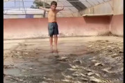 【動画】ワニが大量にいる池に入った少年の末路がこちら・・・