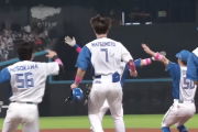 ロッテが勝ったと思ってちょっと寝たらハムが勝ってた