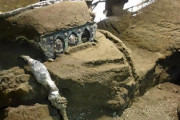 「驚異的な発見」と専門家　ポンペイ遺跡近くで「ほぼ無傷の」馬車が発掘される