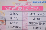 【超画像】2019に女の子の間で流行った言葉、もはや意味不明
