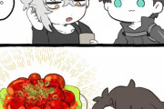 【FGO】レッチリと言っているのを聞いてエビチリの仲間かなと思っているぐだ男！！　食べ物っぽいよねｗ