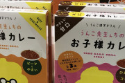 【画像】う○こ漢字ドリルさん、新商品を出してしまう