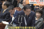 事実上の増税と批判されている子育て支援金500円弱徴収 岸田首相｢増税ではない｡賃上げで実質的な負担生じない｣