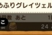 【DQウォーク】がまのあぶら何個まで持てるん？