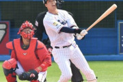 山田哲人(31).273 1本 2打点 3盗塁(リーグ1位)OPS.879 ←これwwwwwwwwwwwwwww