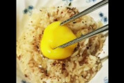 海外「これが日本のクラシックな貧乏料理、酢飯卵かけご飯だ」
