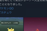 【ポケモンGO】「ピカチュウのみ捕まえる縛り」「金ジムコレクター」謎の遊び方