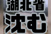 【中国豪雨】湖北省も沈没　断水停電　（動画あり）