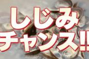 【朗報】しじみ習慣、30分間オペレーター増員中