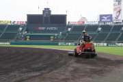 選手のいない甲子園を守り続ける「阪神園芸」はいま