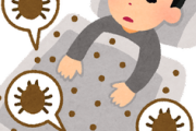 【苦痛】30年間同じ寝具を使ってる自分。でも今年の7月頃から布団に湧くようになったダニ「のようなもの」に悩んでる。しかも体に異変が出て来た。