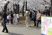 【埼玉】シート広げ飲食する花見グループも…大宮公園で警備員困惑「注意しても宴会やめない客も」
