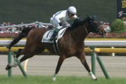 生まれた年のダービー馬で年齢バラしたことあったわ