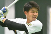 阪神井上、16日に再び４番起用も　井上ヘッド期待