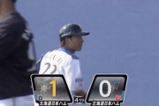 【日ハム紅白戦】白組が4回に渡邉の犠牲フライで1点先制！