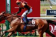 【競馬】凱旋門賞馬『エースインパクト(牡3)』が現役引退！来季から種牡馬に