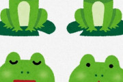 「トノサマガエル」「アマガエル」←カエルに色々あるけれど、お前らは好きなのは？
